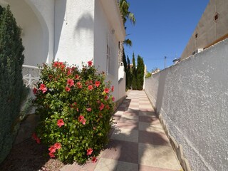 Villa Rojales Buitenaudio-opname 11