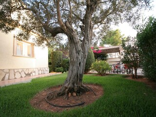 Villa Denia Grabación al aire libre 13