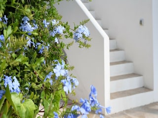 Villa Benissa  27