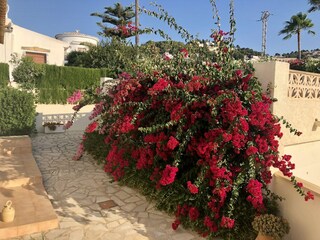 Villa Moraira Außenaufnahme 12