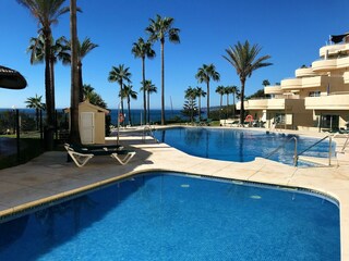 grosse Poollandschaft direakt am Strand
