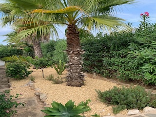 Villa Javea Grabación al aire libre 15