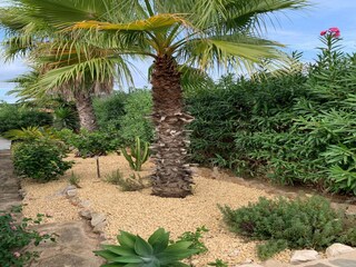 Villa Javea Buitenaudio-opname 13