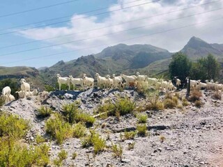 Villa Pedreguer Entorno 32