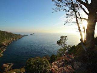 Chalet El Toro (Mallorca) Entorno 33