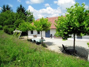 Holiday house Paulusberg - Ivanjkovci - image1