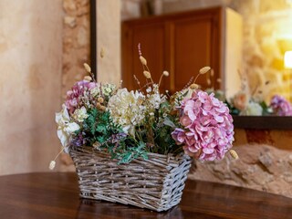 Type de propriété : Chalet Santanyi  38