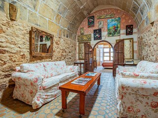 Type de propriété : Chalet Santanyi Équipement 29