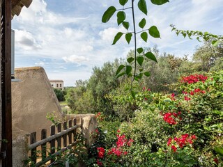 Type de propriété : Chalet Santanyi Enregistrement extérieur 10