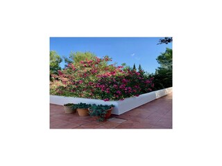 Villa San Lorenzo de Balafia Außenaufnahme 12