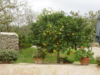 Villa Cala Gració Registrazione all'aperto 3