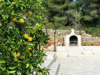 Villa Cala Gració  29