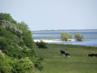 Casa per le vacanze Lemmer Ambiente 23