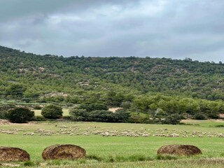 Holiday cottage Castellfollit del Boix Environment 38