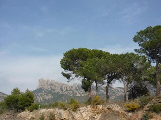 Cottage Castellfollit del Boix Umgebung 38