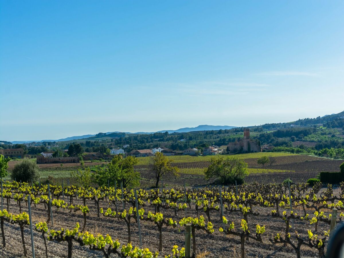 Landhaus Banyeres del Penedès Umgebung 29