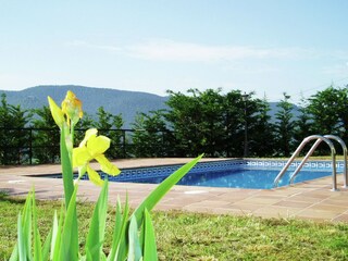 Type de propriété : Chalet Mediona  40