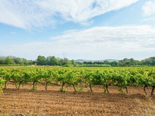 Vakantiehuisje Olèrdola Omgeving 28