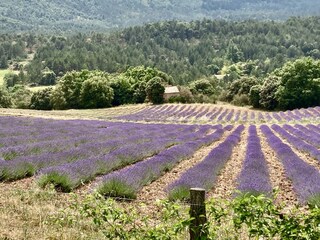 Casa per le vacanze Mouthoumet Ambiente 32