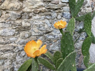 Casa per le vacanze Mouthoumet Registrazione all'aperto 5