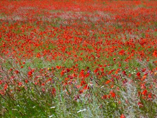 Casa per le vacanze Mouthoumet Ambiente 27
