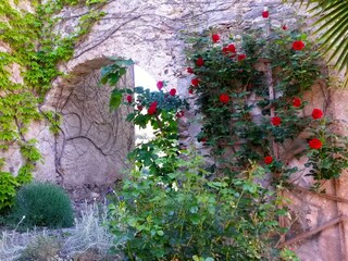 Vakantiehuis Mouthoumet Omgeving 4