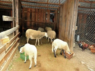 Vakantiehuisje Riudarenes  38