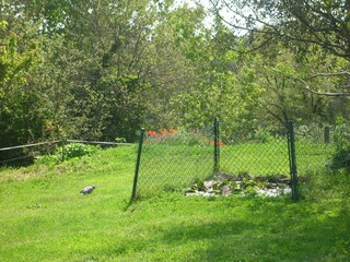 Vakantiehuisje Riudarenes Omgeving 33