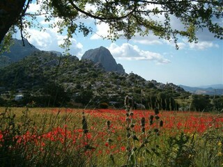 Villa Fuente Camacho Entorno 16