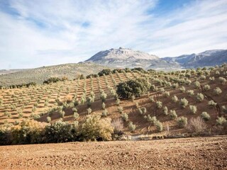 Villa Fuente Camacho Ambiente 19