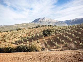 Villa Fuente Camacho Omgeving 18
