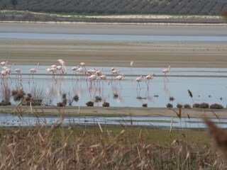 Villa Fuente Camacho Omgeving 33