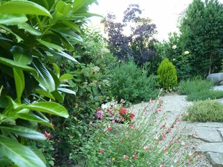 Holiday cottage Castigaleu Outdoor Recording 8