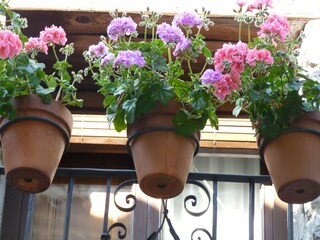 Holiday cottage Castigaleu  36