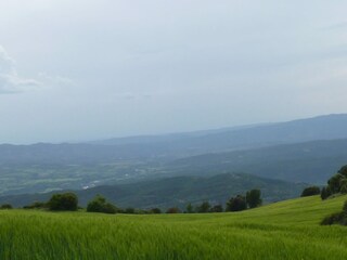 Casa vacanze Castigaleu Ambiente 19
