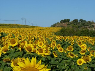 Casa vacanze Castigaleu Ambiente 20