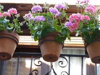 Holiday cottage Castigaleu Outdoor Recording 9