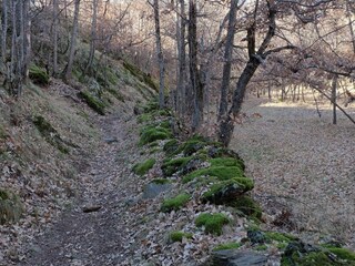 Appartement Espot Omgeving 19