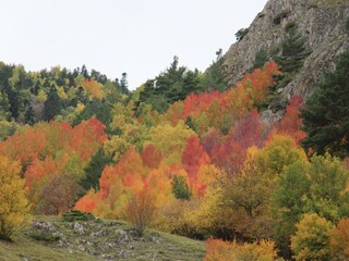 Appartamento Espot Ambiente 36