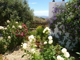 Villa Villanueva de la Concepción Registrazione all'aperto 6