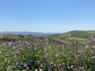 Villa Villanueva de la Concepción Environnement 38