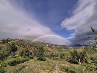 Villa Villanueva de la Concepción Environnement 39