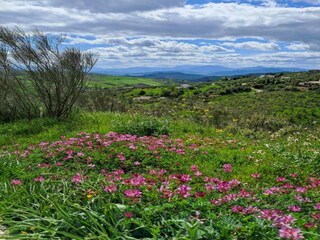 Casa de vacaciones Villanueva de la Concepción Entorno 26