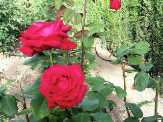 Villa Villanueva de la Concepción  29