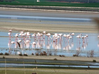 Cottage Villanueva de la Concepción Umgebung 26