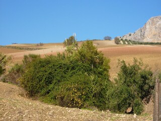 Vakantiehuisje Villanueva de la Concepción Buitenaudio-opname 1