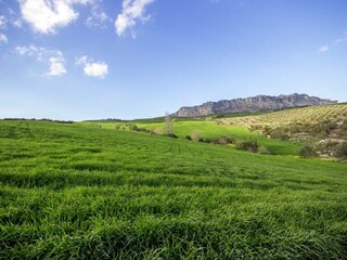 Cottage Villanueva de la Concepción Umgebung 30