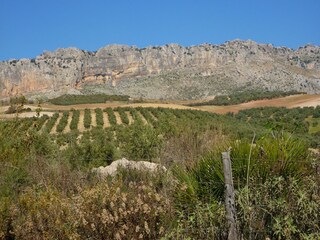 Maison de vacances Villanueva de la Concepción Environnement 31