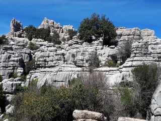Maison de vacances Villanueva de la Concepción Environnement 33