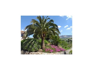 Vakantiehuis Villanueva de la Concepción Omgeving 38